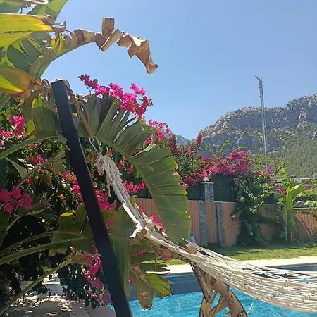 Villa Ani