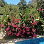 Vila Ani