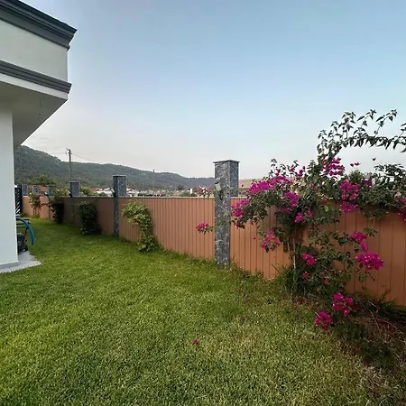 Vila Ani